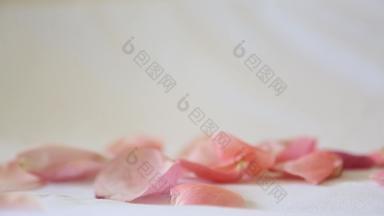 花瓣花苍白的粉红色的秋天白色布